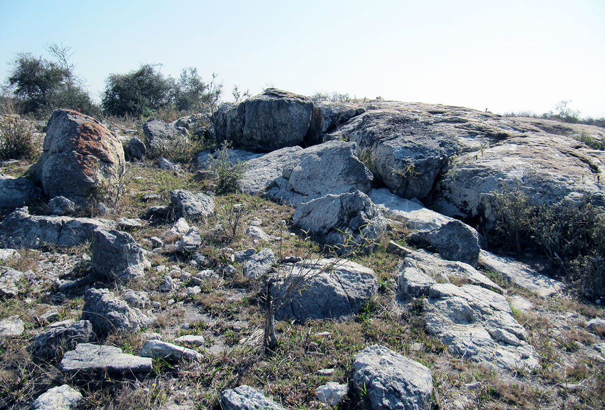 Labradorite Quarry Zone 2